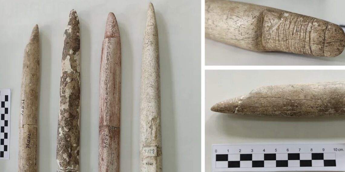 Sensacija: naujas tyrimas atskleidė – pirmieji banginių medžiotojai kilo iš tropikų, ne Arkties