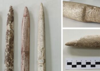 Sensacija: naujas tyrimas atskleidė – pirmieji banginių medžiotojai kilo iš tropikų, ne Arkties