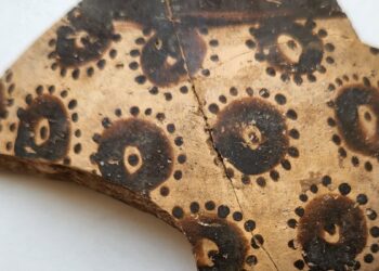 Sensacija: seniausias pasaulyje botanikos piešinys atskleidžia šokiruojančius matematikos įrodymus