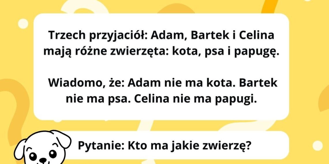 Ši loginė mįslė išduos, kaip iš tikrųjų mąstote: 99 % suklysta jau pirmame žingsnyje