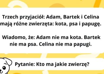 Ši loginė mįslė išduos, kaip iš tikrųjų mąstote: 99 % suklysta jau pirmame žingsnyje