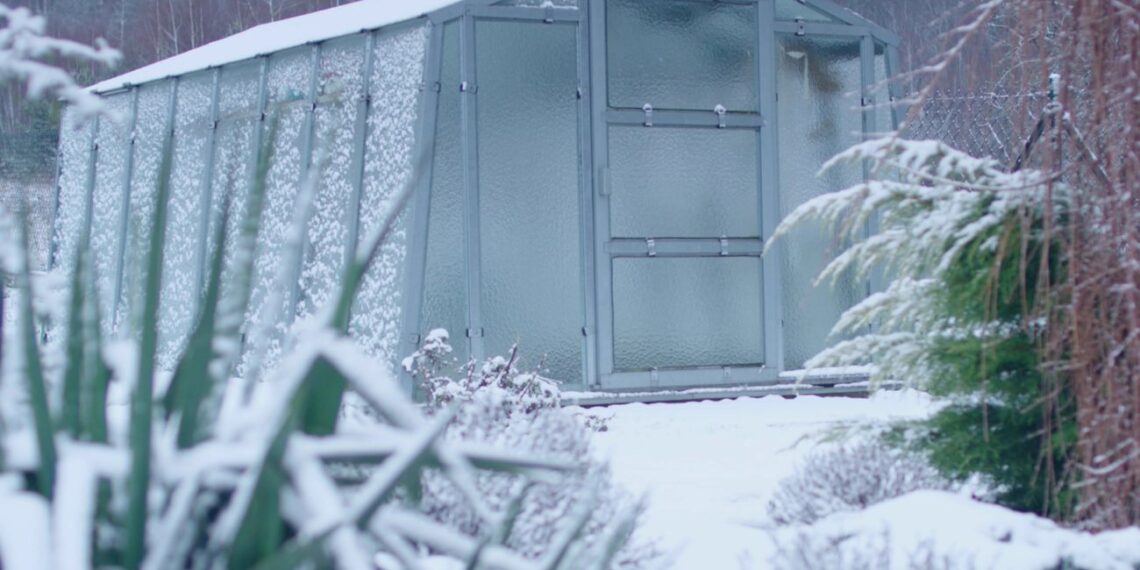 Šitą gudrybę žiemą sklaido po savo sodą: nuo tada pelės ir žiurkės ten nė nosies nekiša