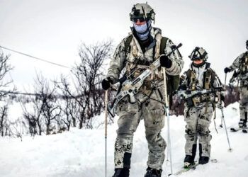 Skandalas Grenlandijoje: kodėl vokiečių kariai buvo skubiai išmesti iš salos ir kas tai slepia?