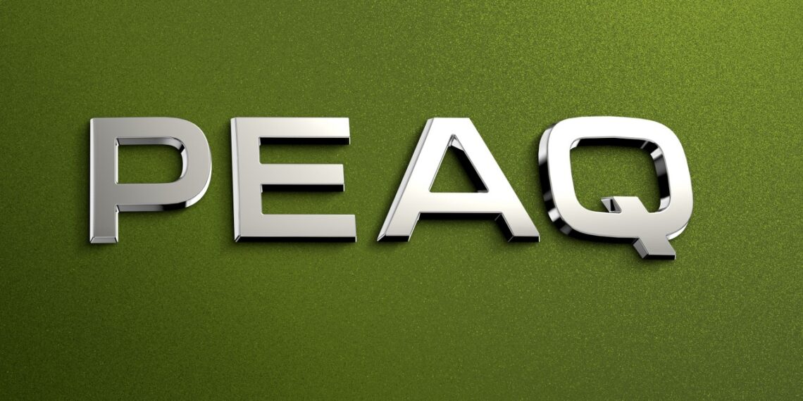 Skoda atskleidė didžiausią paslaptį: naujasis 7 vietų elektrinis Peaq – ar užkariaus šeimų širdis?