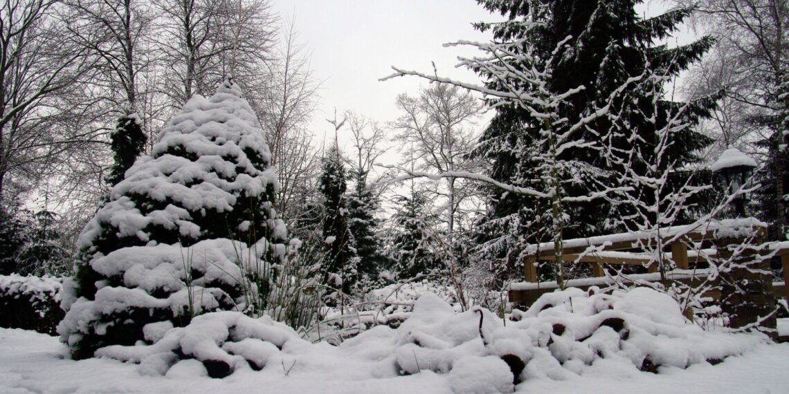 Sniegas sode – tikra auksinė gysla: ką BŪTINAI padaryk dabar, kol dar laikosi balta danga