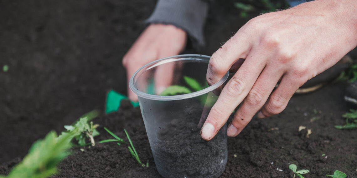 Sodininkų aukso gysla: šios „juodosios trąšos“ užkemša azotu, fosforu ir kaliu – derlius pakils į aukštumas