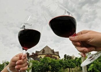 Šokas Paryžiui: Trampas grasina smugiuoti Prancūzijai – 200% muitai vynui ir šampanui!