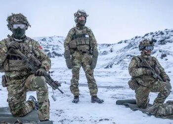 Šokas: Prancūzija nusitaikė į Grenlandiją – siūlo čia rengti slaptus NATO karinius mokymus