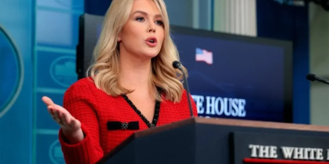 Šokas Vašingtone: Europos kariuomenė žengia į Grenlandiją – Trumpo planai braška per siūles