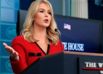 Šokas Vašingtone: Europos kariuomenė žengia į Grenlandiją – Trumpo planai braška per siūles