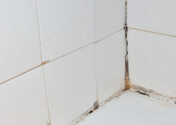 Šokas vonioje: ekspertė atskleidė 1 paprastą triuką, po kurio purvinos plytelių siūlės tampa lyg naujos