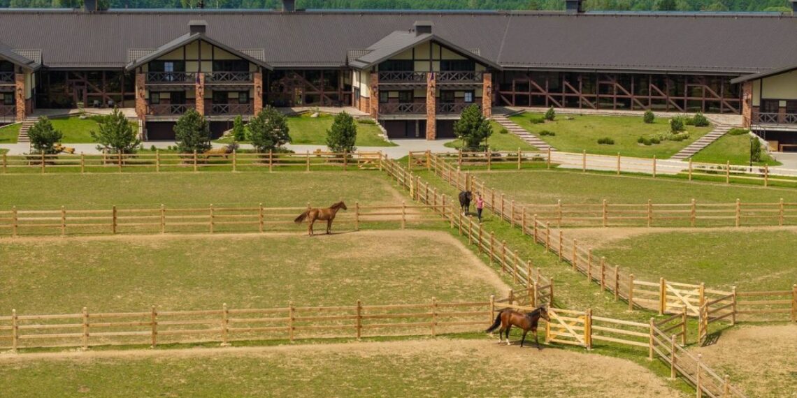 Šokiruojanti byla: garsiam Lietuvos raiteliui – tik lygtinė bausmė už 20-metės išžaginimą