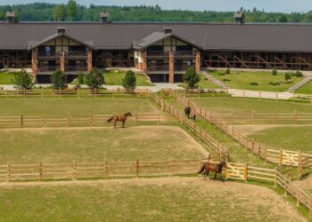 Šokiruojanti byla: garsiam Lietuvos raiteliui – tik lygtinė bausmė už 20-metės išžaginimą