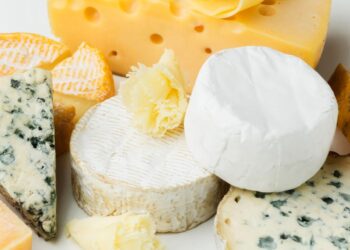 Šokiruojanti klaida, dėl kurios sūris genda žaibiškai: taip jį laikote beveik visi, o neturėtumėte