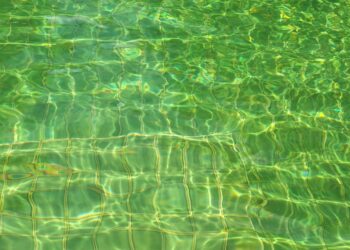 Šokiruojanti priežastis, kodėl tavo baseino vanduo žaliuoja – meistrai atskleidžia, kaip viską sutvarko galingas siurblys