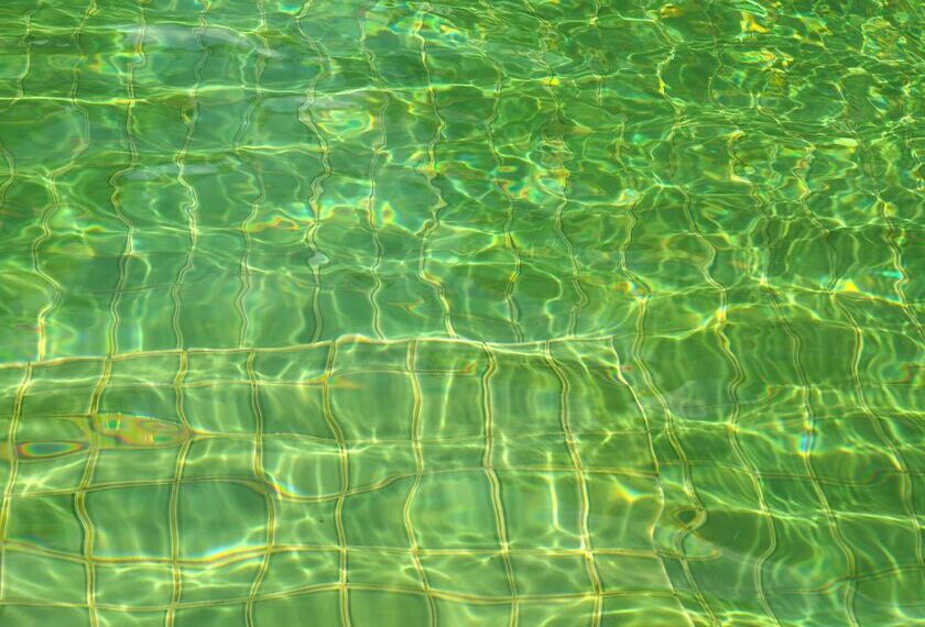 Šokiruojanti priežastis, kodėl tavo baseino vanduo žaliuoja – meistrai atskleidžia, kaip viską sutvarko galingas siurblys