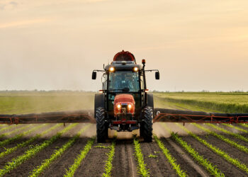 Šokiruojantis atradimas: įprastų pesticidų poveikis net 2,7 karto padidina Parkinsono riziką