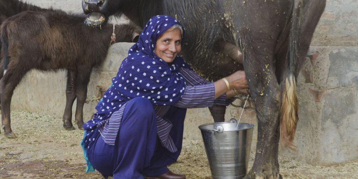 Šokiruojantis atradimas: Pietų Azijos netolerancija pienui atskleidžia, kodėl Europoje jį be vargo virškiname