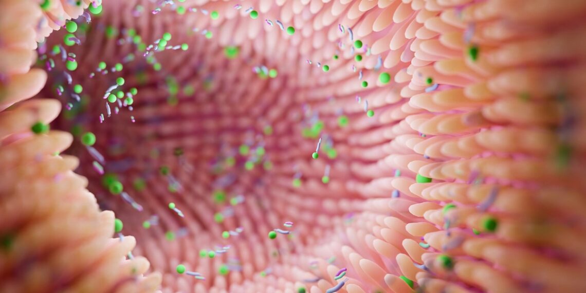 Šokiruojantis atradimas: žarnyno bakterijos gali lemti bipolinės depresijos protrūkius?