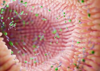 Šokiruojantis atradimas: žarnyno bakterijos gali lemti bipolinės depresijos protrūkius?