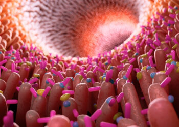 Šokiruojantis atradimas: žarnyno uždegimas vėl siejamas su Alzheimerio liga – rizika didėja