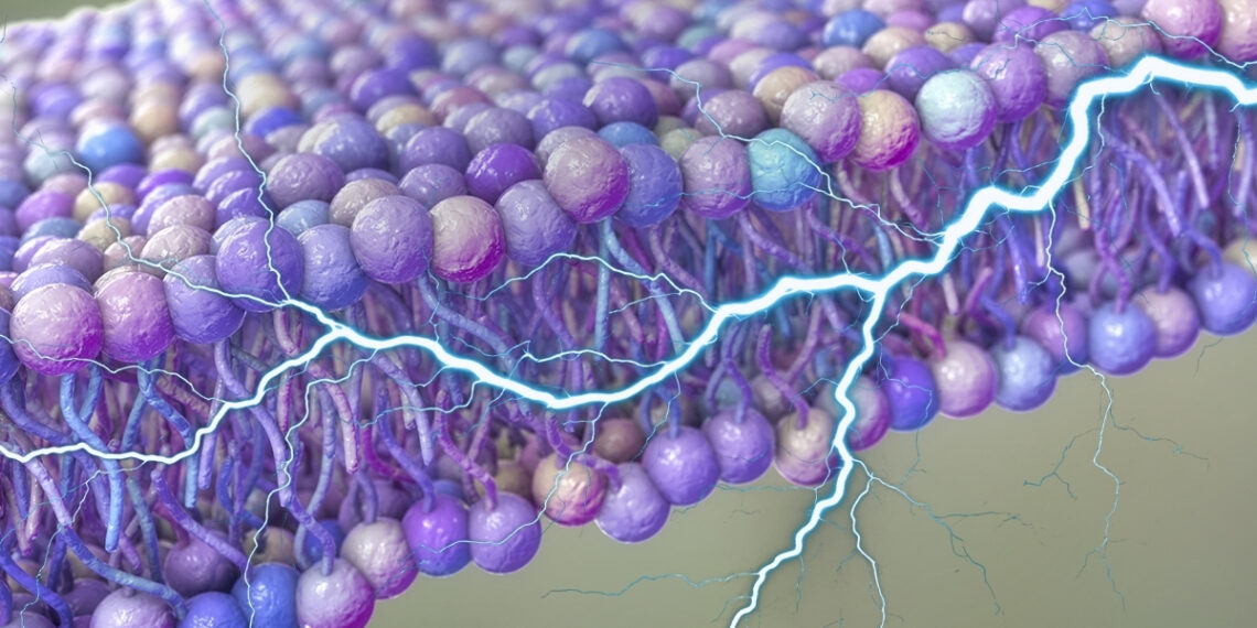 Šokiruojantis lūžis moksle: aplink mūsų ląsteles aptiktas slaptas energijos šaltinis, keičiantis viską