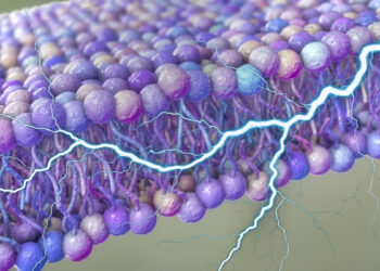 Šokiruojantis lūžis moksle: aplink mūsų ląsteles aptiktas slaptas energijos šaltinis, keičiantis viską