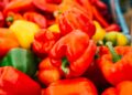 Šokiruojantis tyrimas: sužinok, kuri spalvota paprika – geltona, raudona ar žalia – iš tiesų sveikiausia