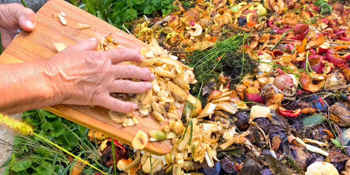 Stebuklingas būdas žaibiškai paspartinti kompostą be brangių priedų – tereikia šio šaldytuvo produkto