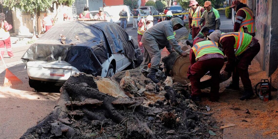 Stiprus žemės drebėjimas nutraukė pirmąjį metų prezidento Meksikoje brifingą: kas vyko salėje?