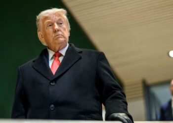 Trampas netikėtai sustabdė naujus muitus Europai: ekspertai perspėja – tai tik audros tyla