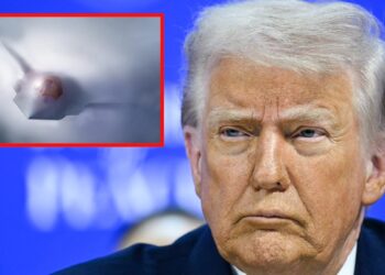 Trumpas šokiravo Davose: F-47 naikintuvą išpeikė dėl priežasties, susijusios su juo pačiu