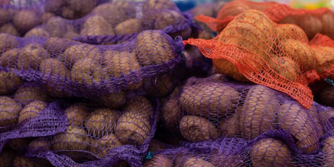 Vokietijoje kilo bulvių karštinė: Berlyne gyventojams nemokamai dalinama net 4000 tonų bulvių