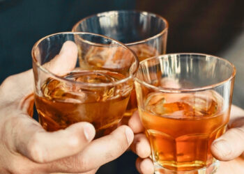 Vos 3 dienos intensyvaus girtavimo: mokslininkai atskleidė šokiruojamą žarnyno suirimą pelėms