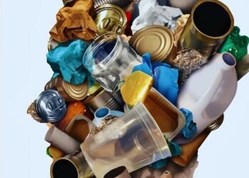 VU filosofas dr. Šinkūnas: klysta manantys, kad dėl šiukšlių esame kalčiausi – štai kas slepiama nuo visuomenės