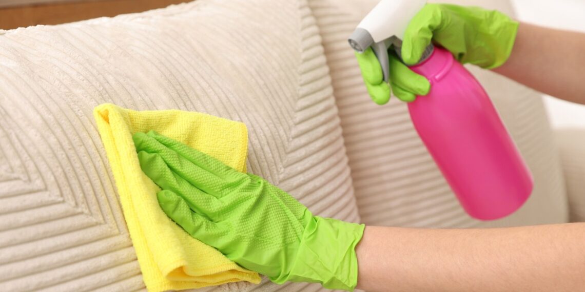 Šunų šeimininkai šokiruoti: štai kaip aš pašalinu plaukus nuo sofos be dulkių siurblio, efektas toks pat kaip reklamoje