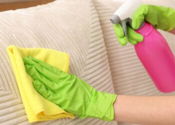 Šunų šeimininkai šokiruoti: štai kaip aš pašalinu plaukus nuo sofos be dulkių siurblio, efektas toks pat kaip reklamoje