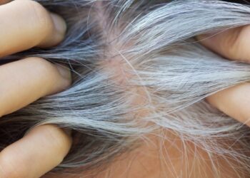 Žili plaukai išnyksta, o plaukai stiprėja: kodėl vis daugiau žmonių renkasi chną