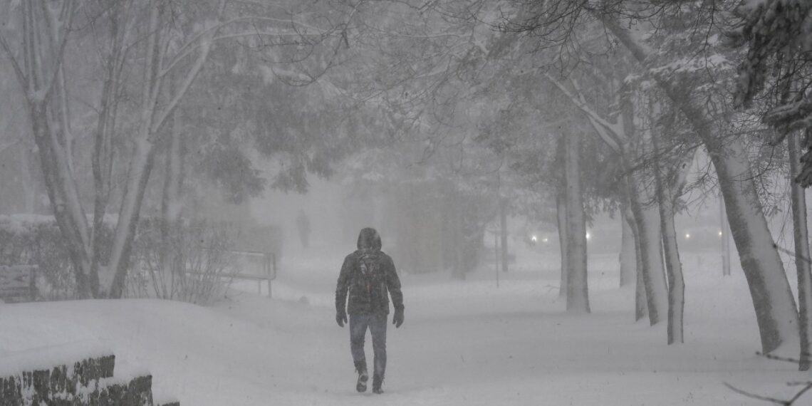 Žiemos apokalipsė Lenkijoje: pusnys iki kelių, darbai stojasi, šunų šeimininkai nevilties riboje