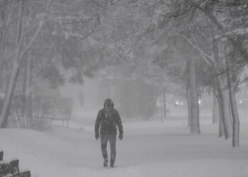 Žiemos apokalipsė Lenkijoje: pusnys iki kelių, darbai stojasi, šunų šeimininkai nevilties riboje