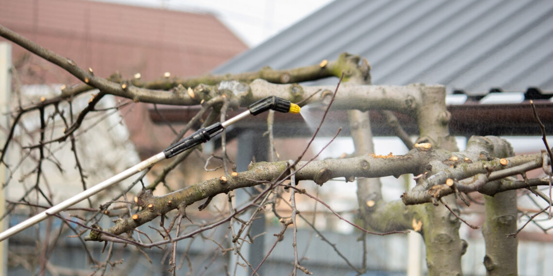 Žiemos purškimas vaismedžiams: nematoma sodo siena, kuri akimirksniu sustabdo kenkėjus