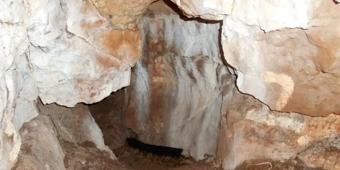 11 tūkst. metų paslaptis: Anglijoje aptiktas seniausias žinomas vaiko kapas