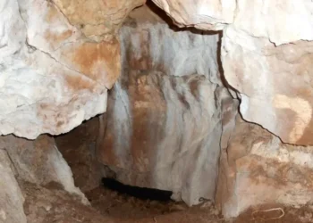 11 tūkst. metų paslaptis: Anglijoje aptiktas seniausias žinomas vaiko kapas