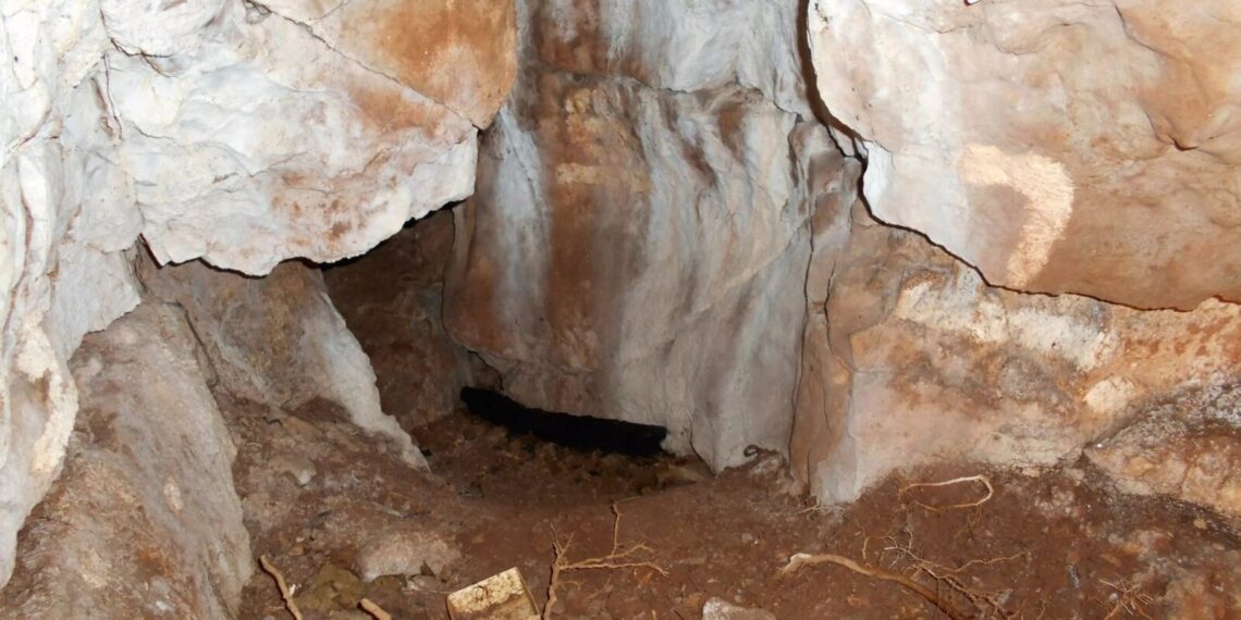 11 tūkst. metų senumo olos radinys atskleidė netikėtą DNR paslaptį