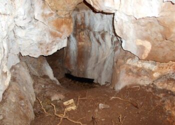 11 tūkst. metų senumo olos radinys atskleidė netikėtą DNR paslaptį