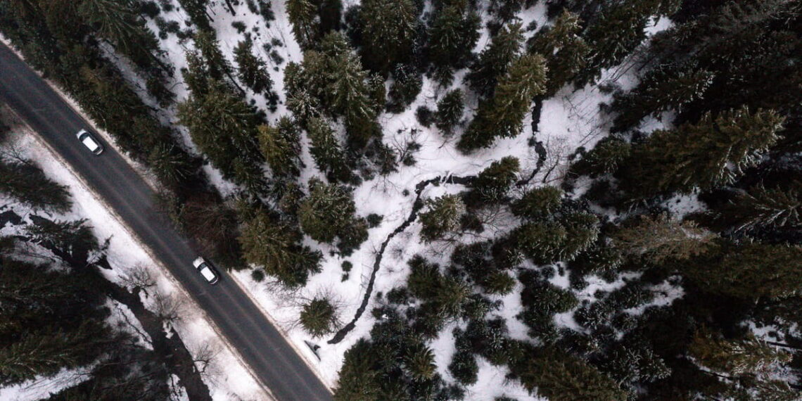 150 valstybių perspėja: beatodairiškas augimo vaikymasis naikina gamtą ir ateitį