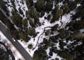 150 valstybių perspėja: beatodairiškas augimo vaikymasis naikina gamtą ir ateitį