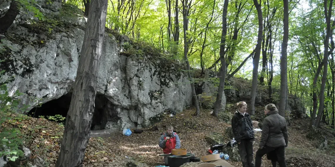 18 tūkst. metų senumo radinys Lenkijoje: urve aptikti galimo kanibalizmo pėdsakai