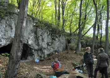18 tūkst. metų senumo radinys Lenkijoje: urve aptikti galimo kanibalizmo pėdsakai