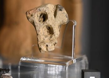 2500 metų senumo radinys netoli Jaroslavo pribloškė archeologus